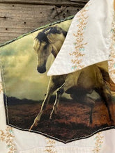 summer mustangs
